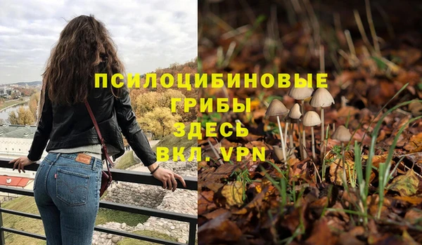 скорость Нея