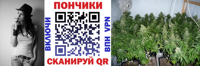 Бошки Шишки LSD WEED  где найти   Заозёрск 